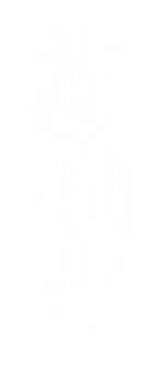 [kaligrafia - Do Miong Sah]