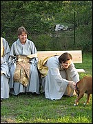 img_1355.jpg